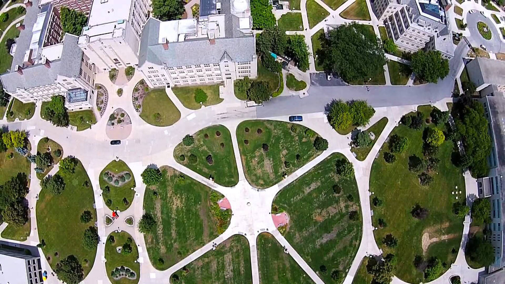 TED Talk- Desire Paths